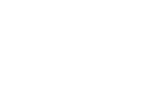 Dsmart